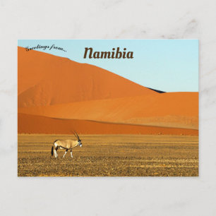 Carte Postale Oryx Gazella Namib Parc national Naukluft Namibie