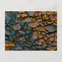 Os de dinosaure d'Orange Petrifié