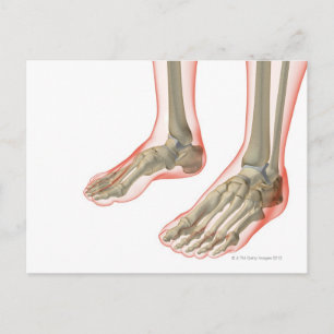 Carte Postale Os des pieds