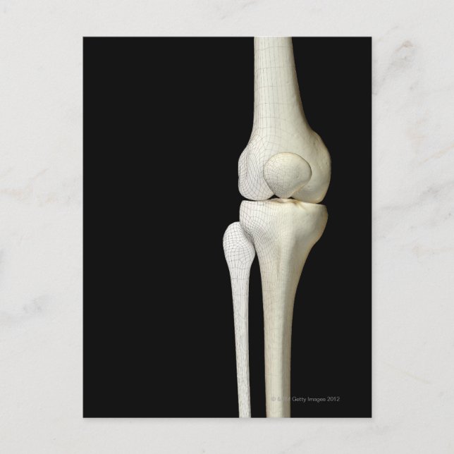 Carte Postale Os du genou 4 (Devant)
