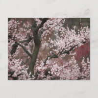 Osaka, Japon