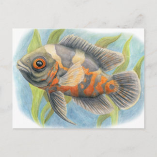 Carte Postale Oscar de tigre de bébé