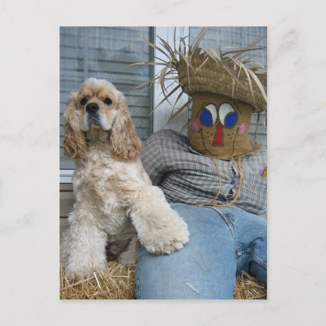 Carte Postale Oscar et Phil (Devant)