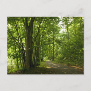 Carte Postale Osceloa Island Weir Dam Bristol Tennessee