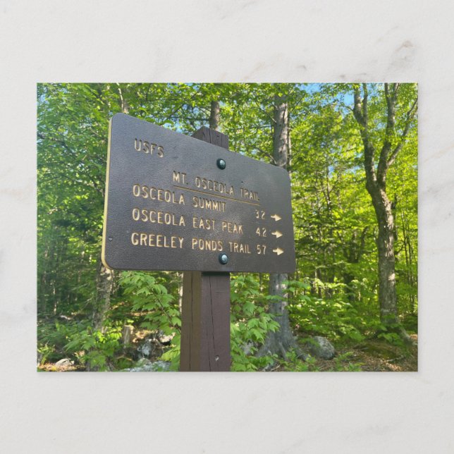 Carte postale Osceola et East Osceola (Devant)