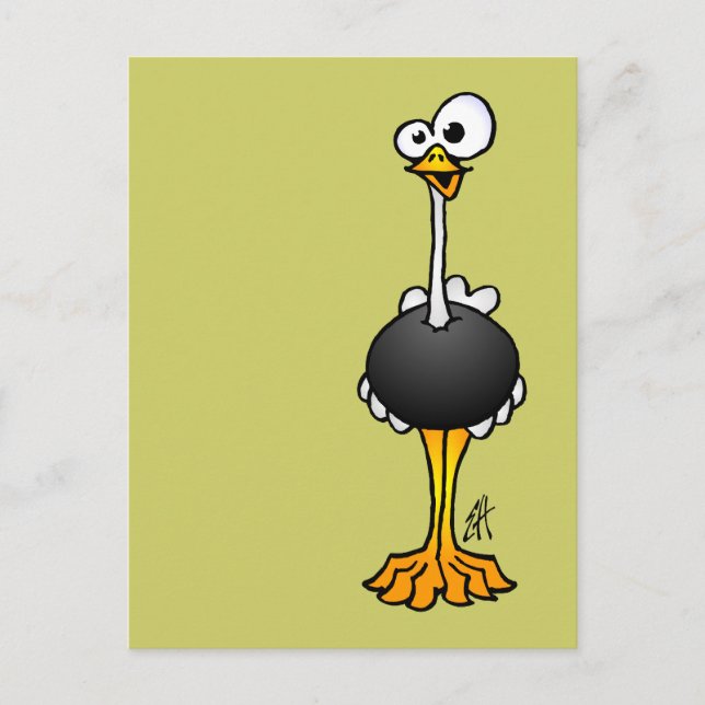 Carte Postale Ostrich (Devant)
