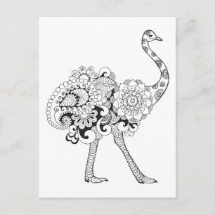Carte Postale Ostrich inspiré