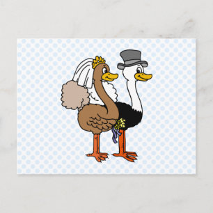 Carte Postale Ostrichs mariés