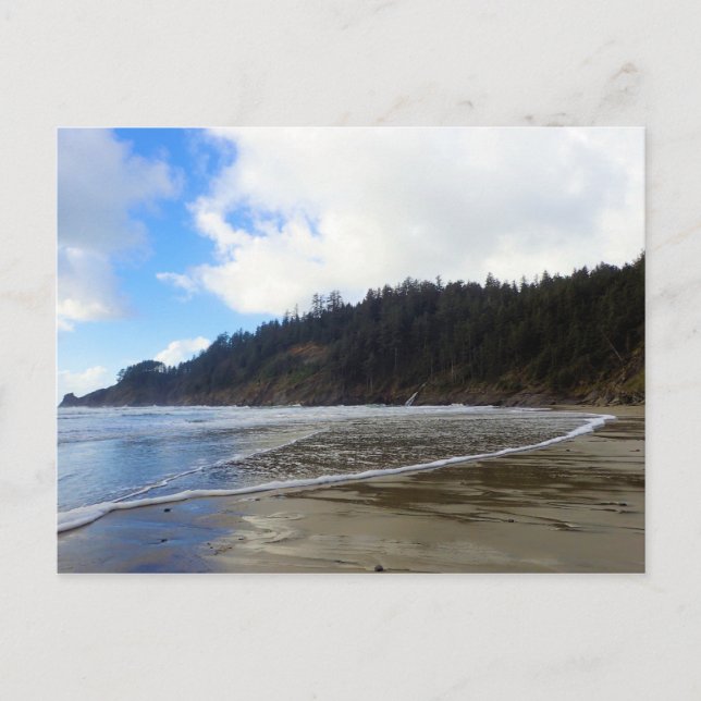 Carte Postale Oswald West State Park, Oregon Coast (Devant)