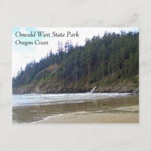 Carte Postale Oswald West State Park, Oregon Coast