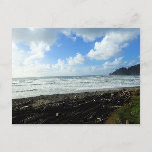 Carte Postale Oswald West State Park, Oregon Coast