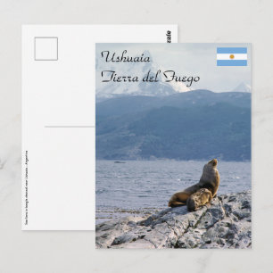 Carte Postale Otaries dans le canal de Beagle - Argentine