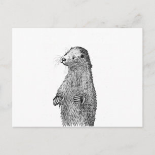 Carte Postale Otter