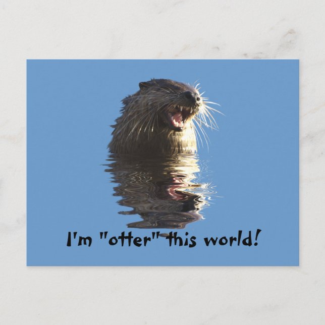 Carte postale OTTER (Devant)
