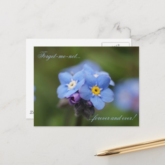 Carte Postale Oublie-moi-pas pour toujours et jamais ! (Devant/Arrière en situation)