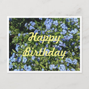 Carte postale Oublier-Me-Pas Anniversaire