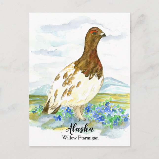 Carte Postale Oubliez-moi pas Ptarmigan État de l'Alaska (Devant)