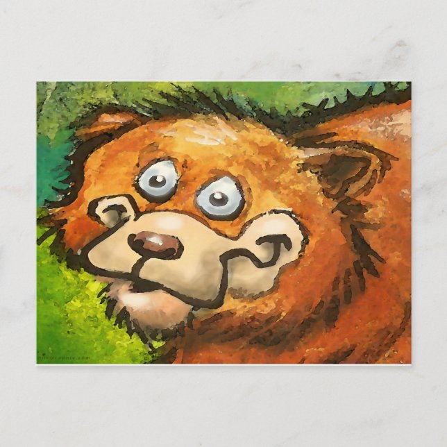 Carte Postale Ours (Devant)