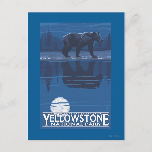 Carte Postale Ours au clair de lune - Parc national de Yellowsto (Devant)