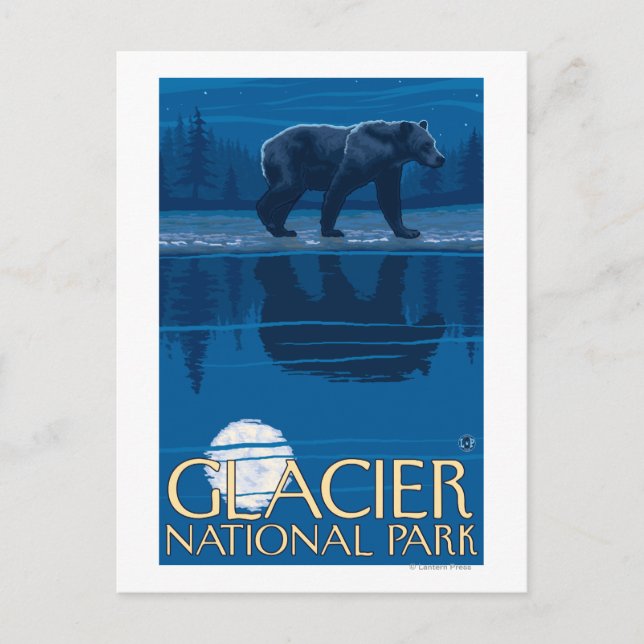 Carte Postale Ours au clair de lune - Parc national des Glaciers (Devant)