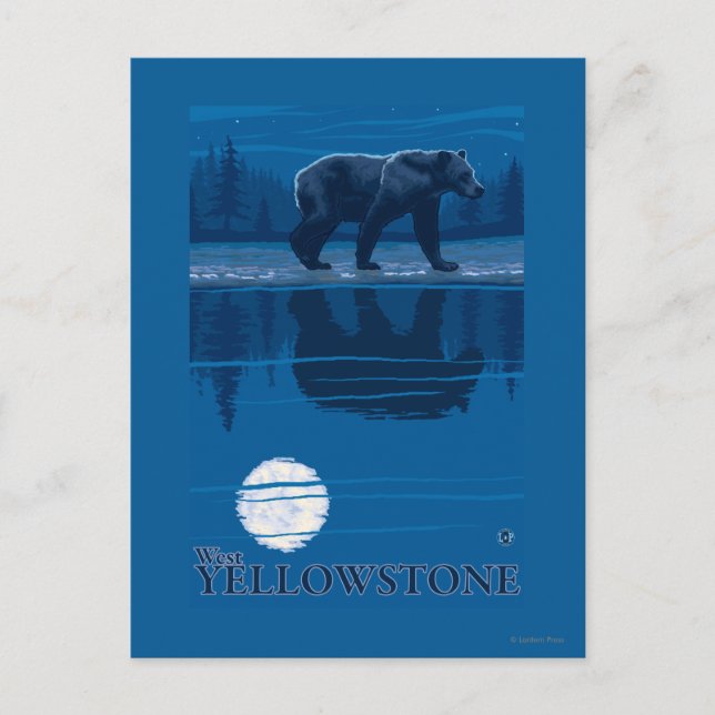 Carte Postale Ours au clair de lune - West Yellowstone, Montana (Devant)