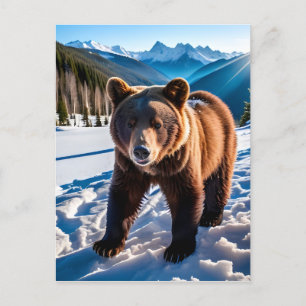 Carte Postale Ours Brown dans la neige