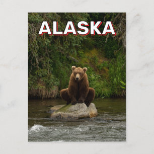 Carte Postale Ours Brown En Alaska