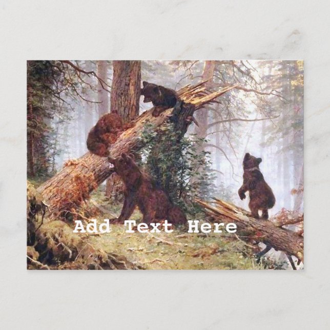Carte Postale Ours dans les bois (Devant)