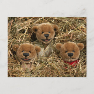 Carte Postale Ours Dinky : Enfants agriculteurs