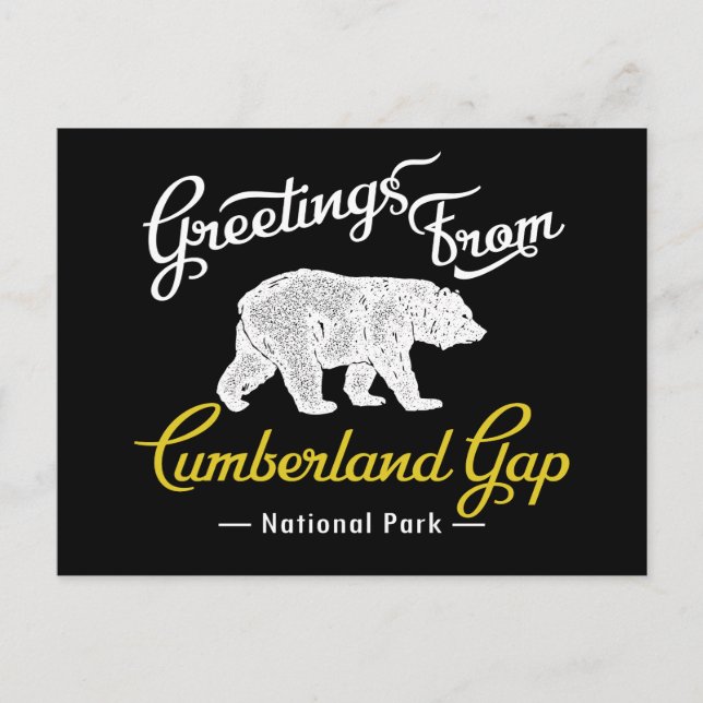 Carte Postale Ours du parc national de Cumberland Gap (Devant)