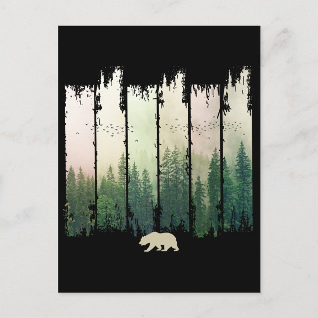 Carte Postale Ours en forêt nature arbres paysage (Devant)