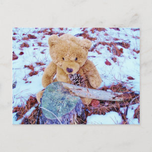Carte Postale Ours en peluche dans la neige, teinte bleu denim