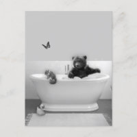 Ours en peluche dans un bain moussant
