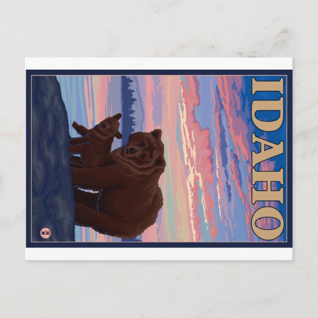 Carte Postale Ours et cub - Idaho (Devant)