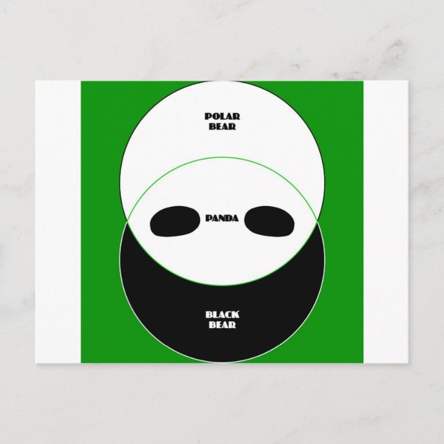 Carte Postale Ours graphiques (Devant)