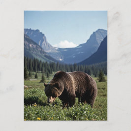 Carte Postale Ours grizzli dans le parc national des Glaciers Vo