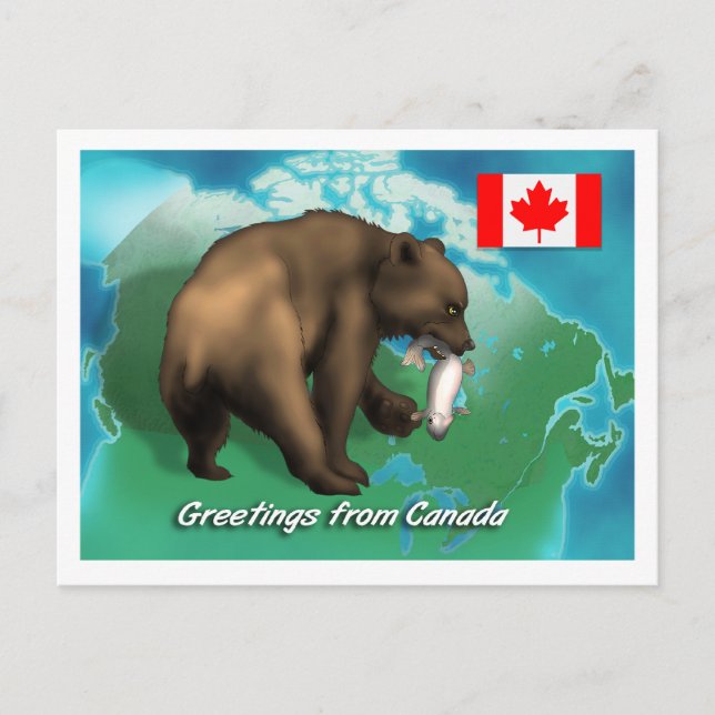 Carte Postale Ours noir canadien (Devant)
