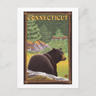 Carte Postale Ours noir Connecticut en forêt