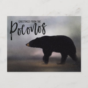 Carte Postale Ours noir dans les salutations hivernales des Poco