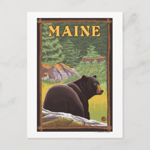 Carte Postale Ours noir du Maine en forêt