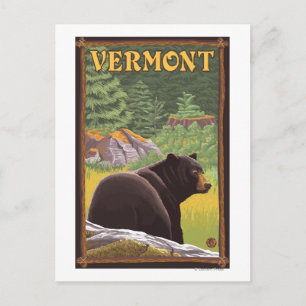 Carte Postale Ours noir du Vermont en forêt