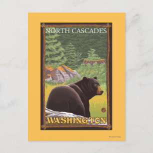 Carte Postale Ours noir en forêt - Cascades du Nord, Lashingto