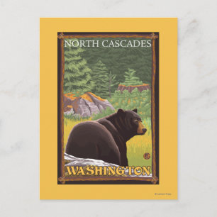 Carte Postale Ours noir en forêt - Cascades du Nord, Lashingto