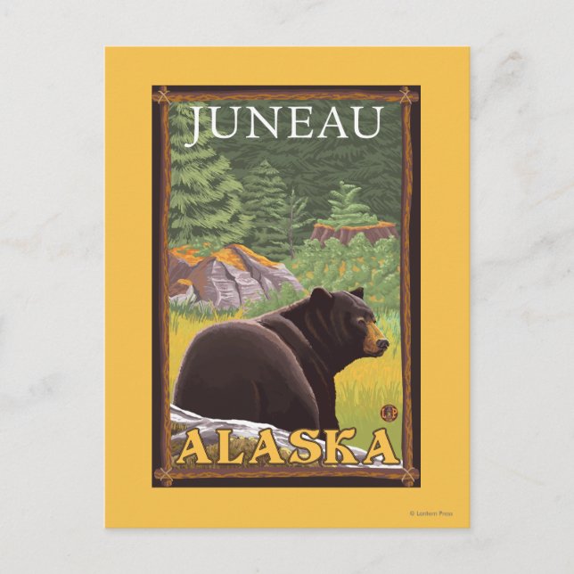 Carte Postale Ours noir en forêt - Juneau, Alaska (Devant)