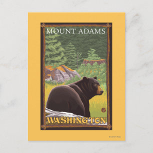 Carte Postale Ours noir en forêt - Mont Adams, Washington