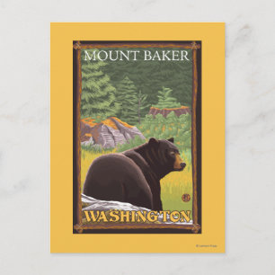 Carte Postale Ours noir en forêt - Mount Baker, Washington