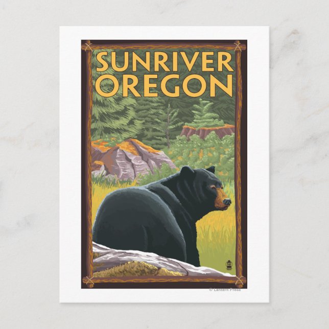 Carte Postale Ours noir en forêt - Sun River, Oregon (Devant)