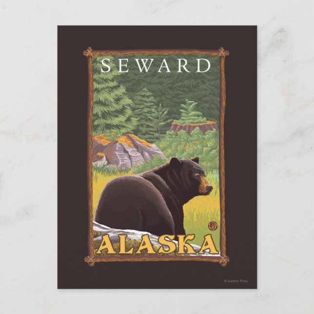 Carte Postale Ours Noir en Forêt - Vent, Alaska (Devant)