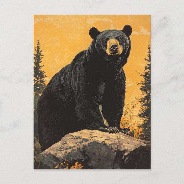 Carte Postale Ours noir vintage (Devant)