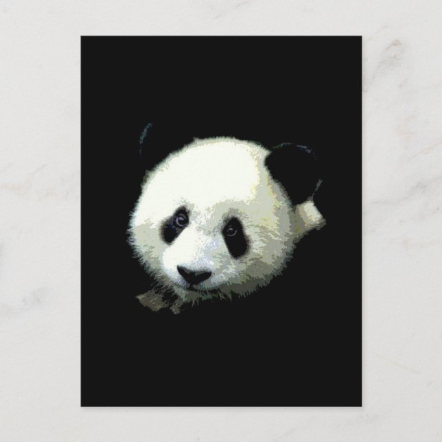 Carte Postale Ours Panda (Devant)